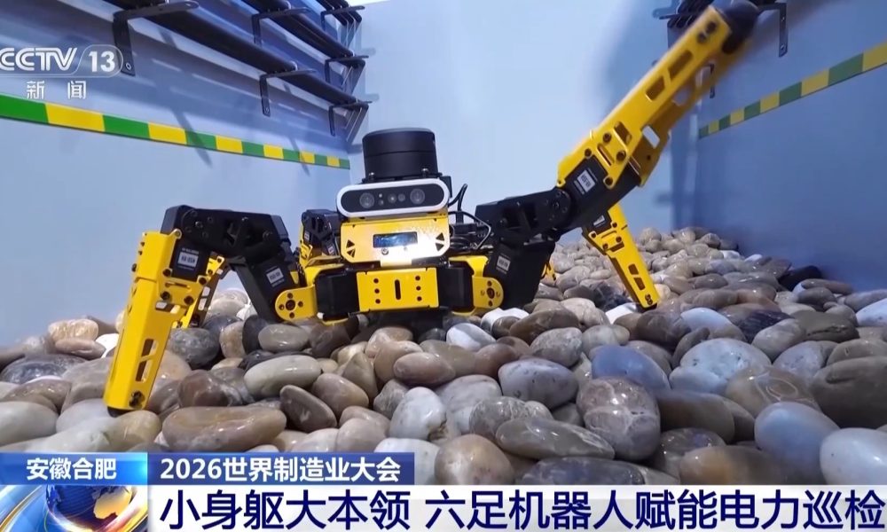 Intelligent Robots and Drones Demonstrated at 2026 World Manufacturing Convention in Hefei