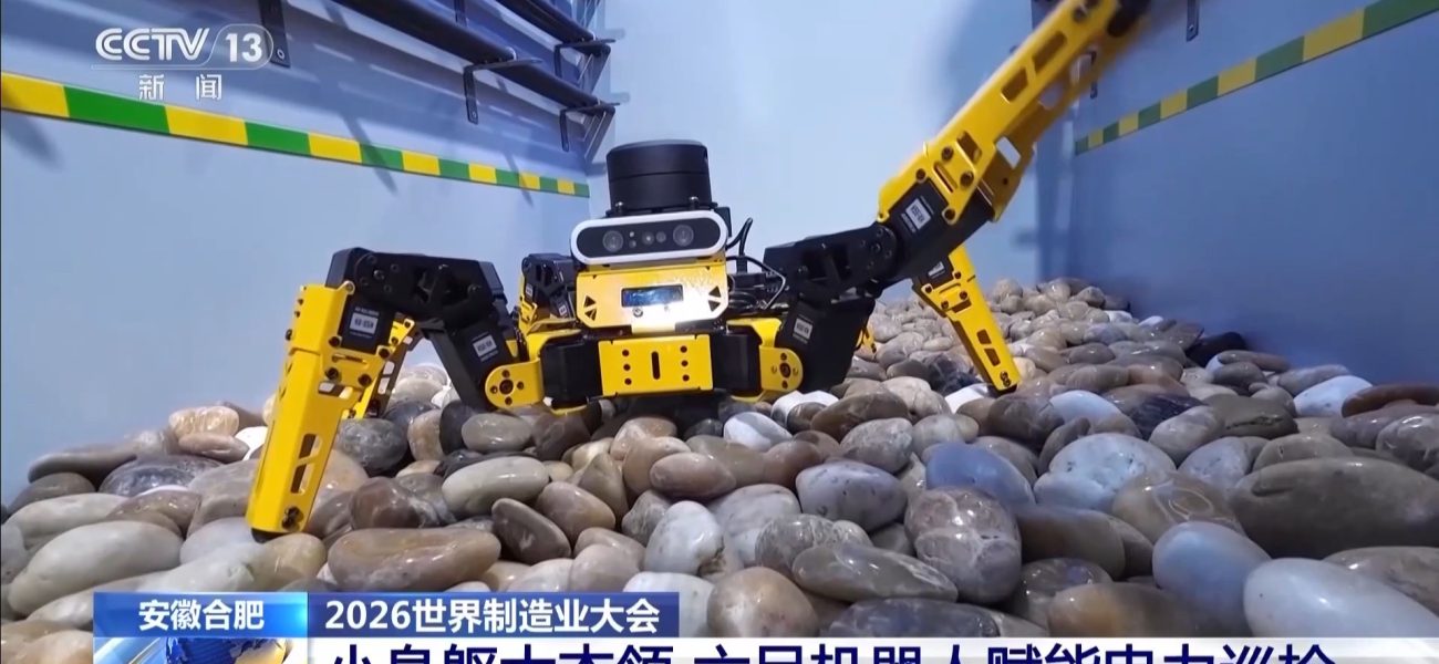Intelligent Robots and Drones Demonstrated at 2026 World Manufacturing Convention in Hefei