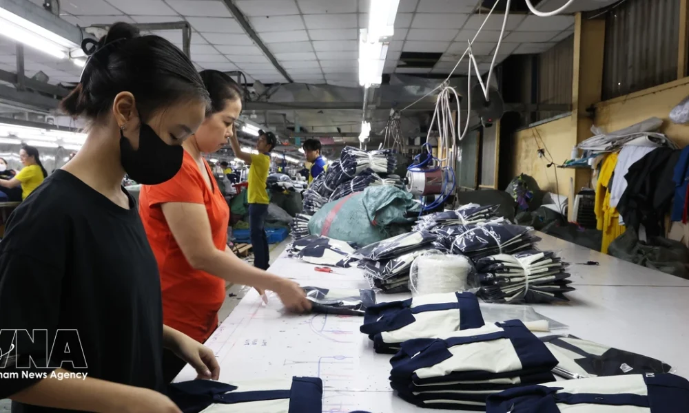 Vietnam's Manufacturing and Labour Market Show Growth Amid Economic Optimism