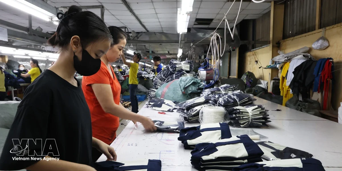 Vietnam's Manufacturing and Labour Market Show Growth Amid Economic Optimism