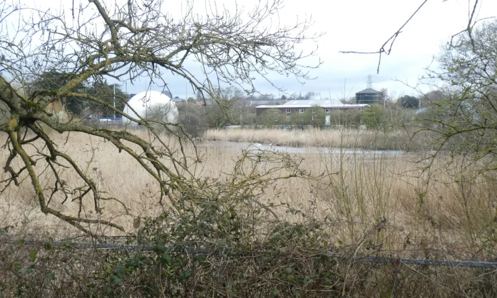 United Utilities Develops Intelligent Monitoring for Nature-Based Wastewater Treatment