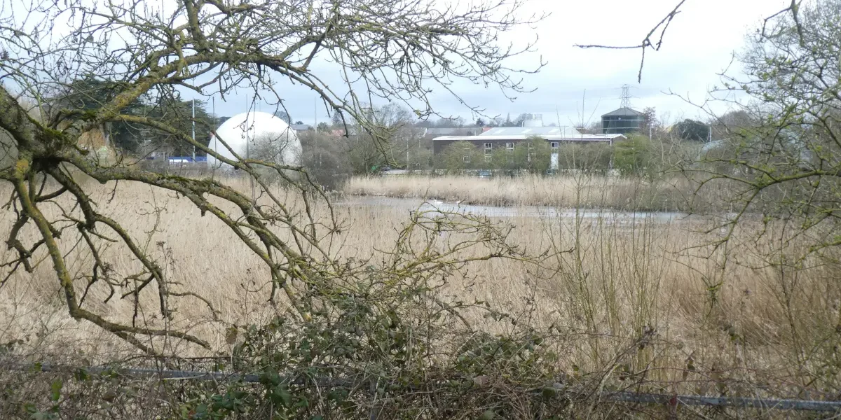 United Utilities Develops Intelligent Monitoring for Nature-Based Wastewater Treatment