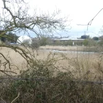 United Utilities Develops Intelligent Monitoring for Nature-Based Wastewater Treatment